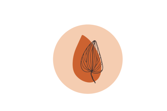 Download Boho Flowers Color Icon Svg - Premium Resources